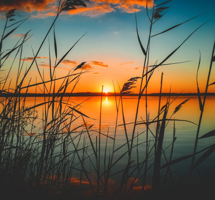 things to do for destination